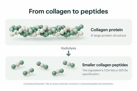 Why Cod Skin? The Story Behind Our White Synergy Collagen | Wellinder